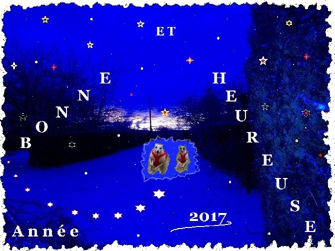 Du Cèdre Bleu De Monette - Voeux 2017.... 