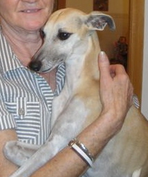 Dailyka' tess dite daily Du Cèdre Bleu De Monette